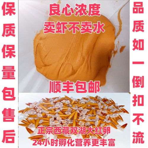 大红卵丰年虾冰冻观赏鱼食免孵化