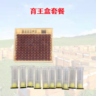 厂家蜜蜂育王盒 王台保护罩 棕色王台 育王套餐