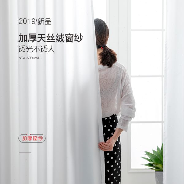 半天丝遮光纱帘卧室窗帘透光不透人阳台纱白色隔断窗纱北欧简约绒
