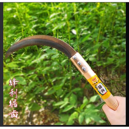 锯齿镰刀锰钢家农用割草刀全钢除草禾镰收割韭菜水稻带齿镰刀家用