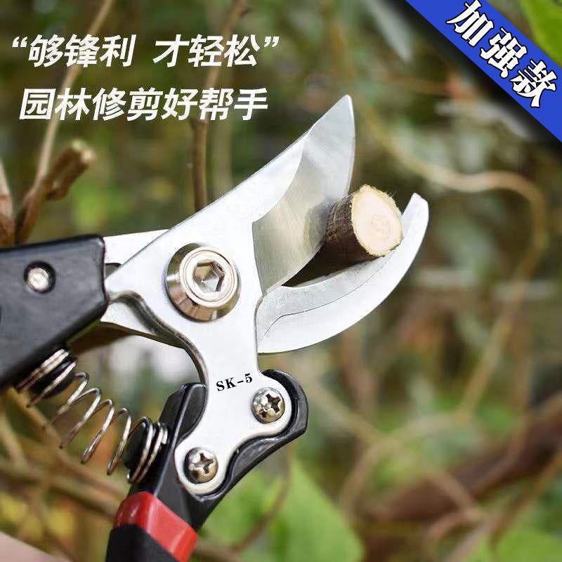 德国精工剪树枝专用剪刀园艺果树修枝剪sk5粗枝修花省力剪子园林