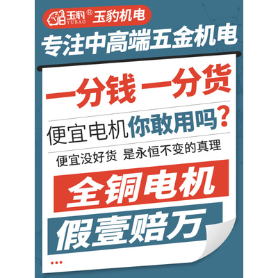 立卧式电机380v三相2/4/6级静音变频国标电动全铜小型异步电动机