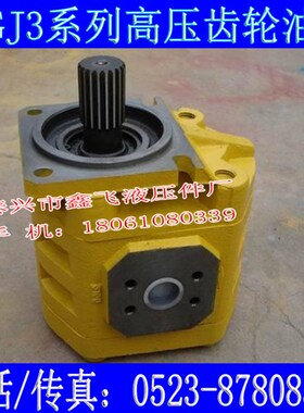CBGJ3100高压齿轮油泵CBGJ3125船舶CBGJ3140 CBGJ3160工程机械泵