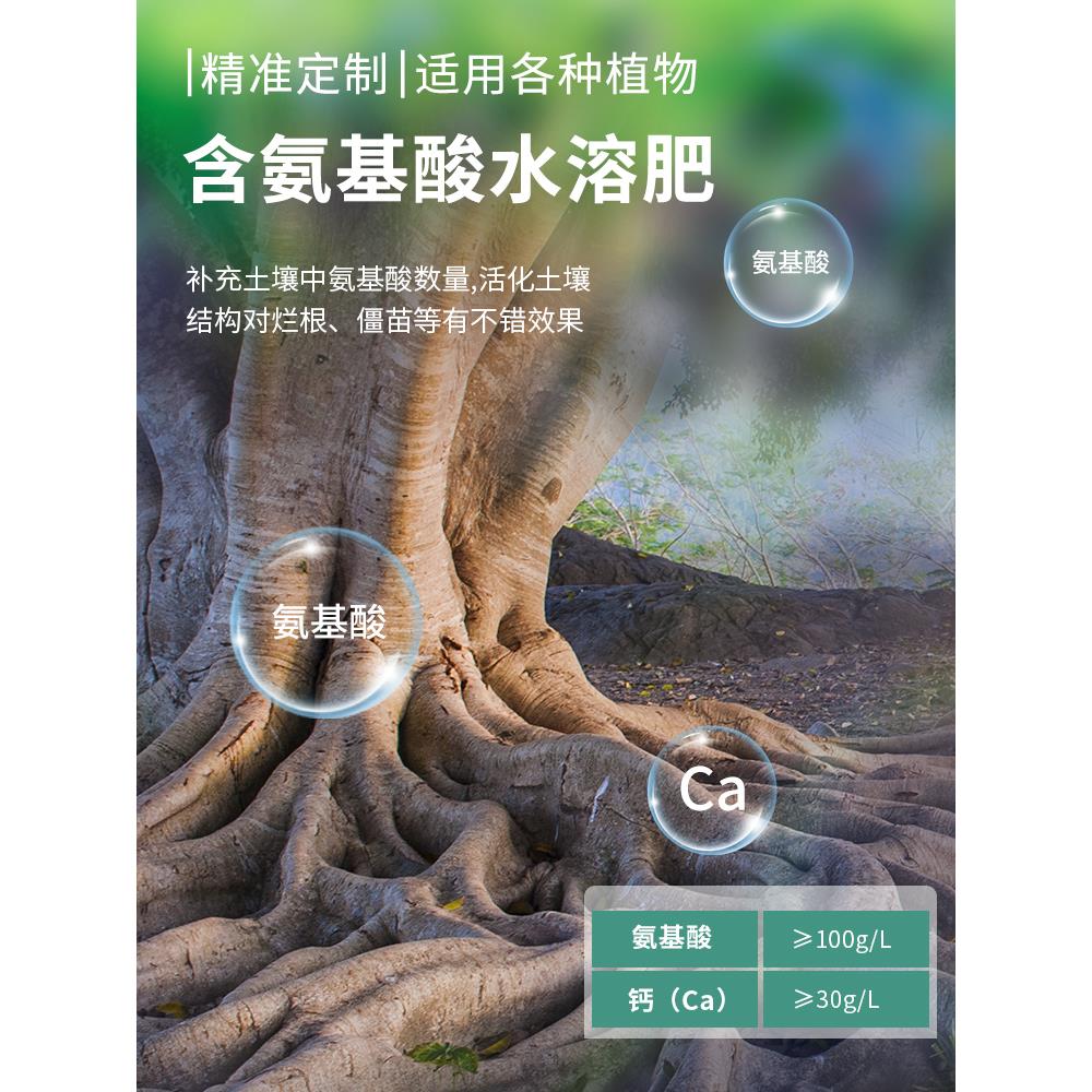 树木生根剂强力生根壮苗剂生根液粉移栽扦插植物通用促生发根剂