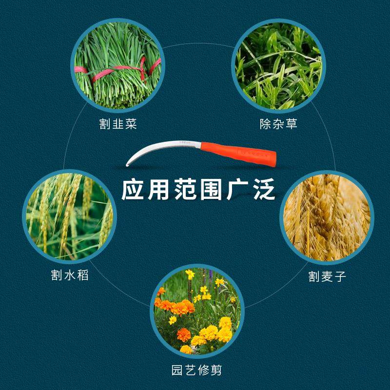 信得利百年龙锻镰刀农用工具小镰刀小锯镰不锈钢锄草镰锯齿割草刀,鲜花速递/花卉仿真/绿植园艺,洒水/浇水壶,淘宝优惠券,粉丝福利购,淘宝优惠卷