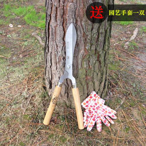 园艺修枝剪大剪刀剪草刀花木草坪剪绿化修草园林家用树枝强力工具