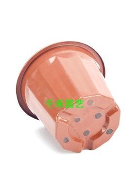 塑料红色E型角盆园艺多肉育苗果树盆栽兰花盆大号红色基地苗圃盆