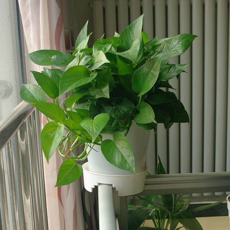 屏风花盆底托十字T字丁字托盘托架植物底座-办公室隔断盆栽托盘,3C数码配件,USB多功能数码宝,淘宝优惠券,粉丝福利购,淘宝优惠卷