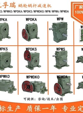 WPEA WPES WPEO WPEDA WPEKA WPEDKA WPWEKO WPWEDKO 双极减速机