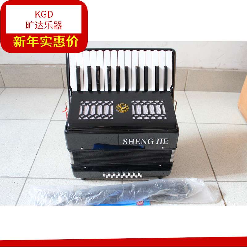 现货 圣杰25键16贝司斯儿童专业手风琴 16BS手风琴25K键 音色好