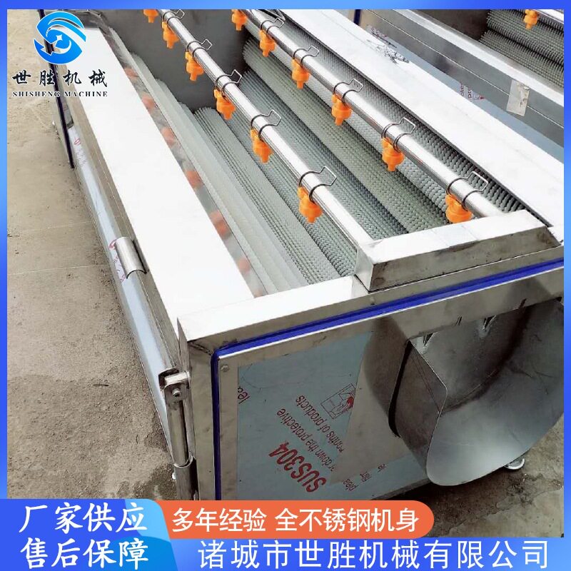 厂家供应洋姜毛刷清洗机全自动毛辊清洗机地参果去皮清洗机
