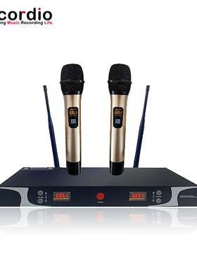 GAW-L200无线家用手持麦克风无线麦克风系统U段舞台KTV话筒