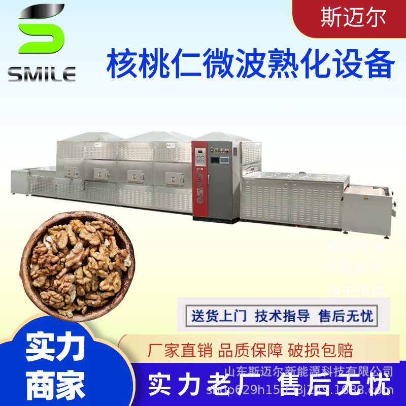 核桃干燥熟化机 隧道式微波烘干设备核桃仁微波熟化设备