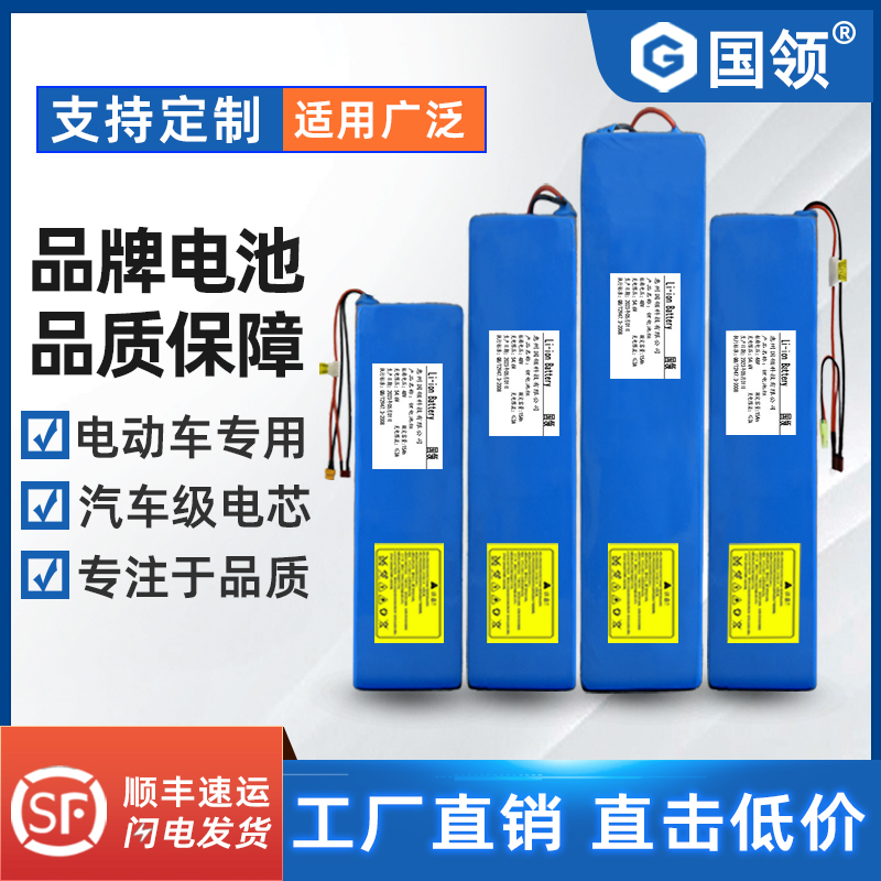 国领 48v电动车锂电池36v电动滑板车电池代驾折叠车锂电池24v电瓶