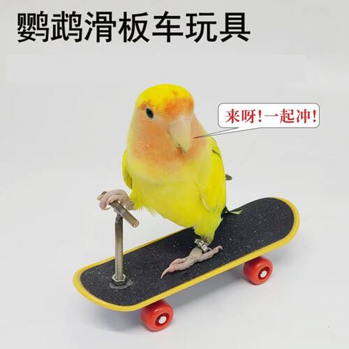 鹦鹉智力玩具训练道具鹦鹉牡丹滑板车升级款合金支架专业手指滑板