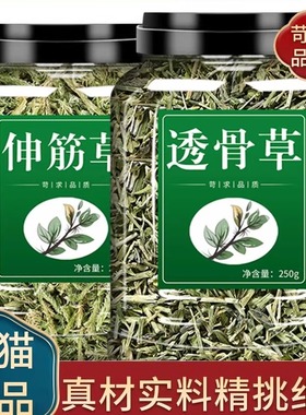 透骨草伸筋草中药材500g正品官方旗舰店新鲜干货珍珠舒筋草泡水喝