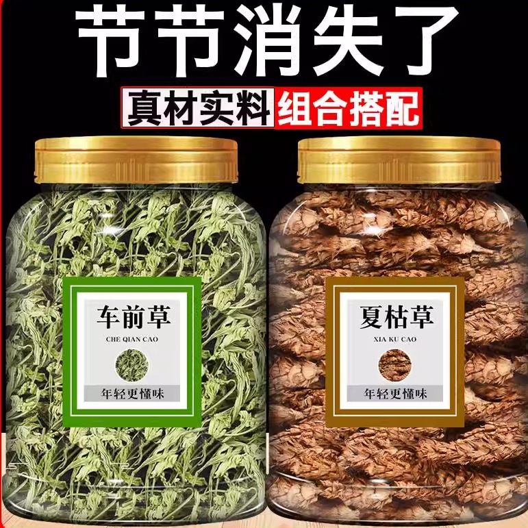 车前草夏枯草散结中药材夏枯球泡