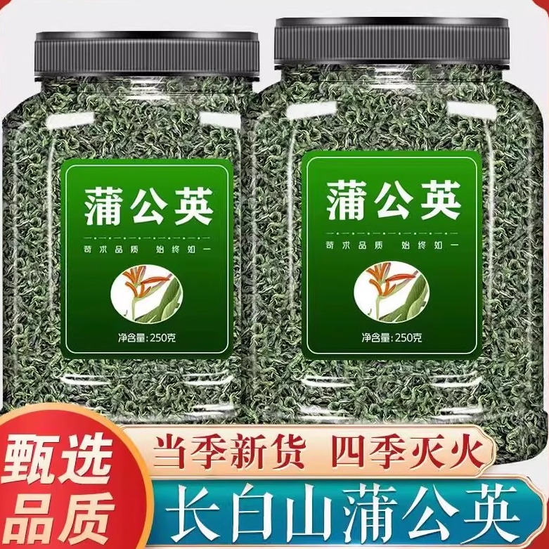 蒲公英茶中药材野生婆婆丁养生茶