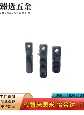 FFD01-D8/D10/D12-L20/L25/L30/L35/L40/L50/L60/L70拉伸弹簧支柱
