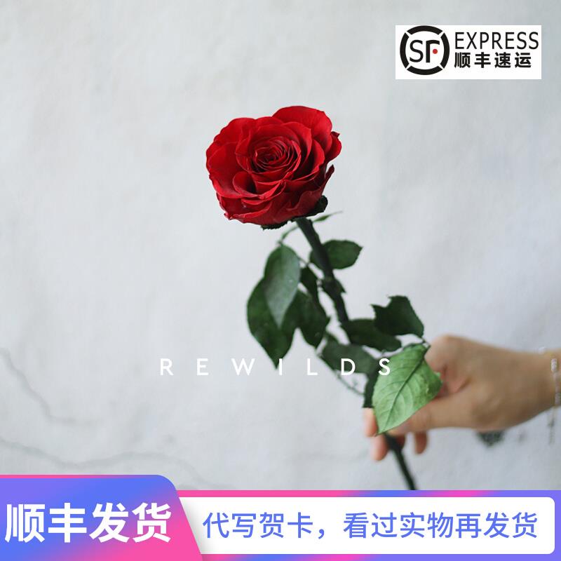 有枝干的永生花 有叶子真花枝条拼接永H生花 家居摆放整枝单只接