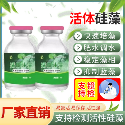活体粉硅藻藻种水产养殖专用