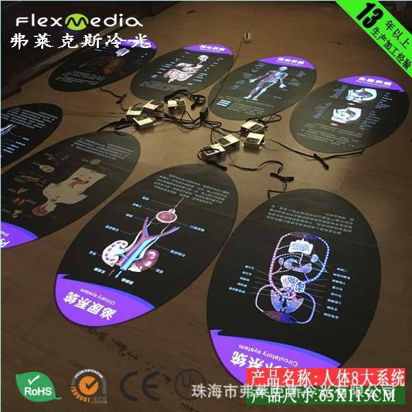 科技馆展馆新方案,人体八大系统动画图,EL冷光灯,超薄灯箱