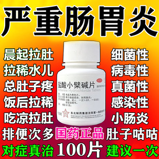 胃药肠炎特宁专用效药治疗肠胃炎的药盐酸小檗碱片100片