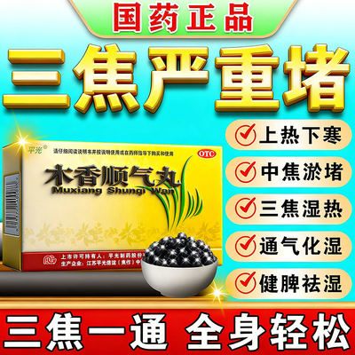 【平光】木香顺气丸60mg*100丸*10袋/盒