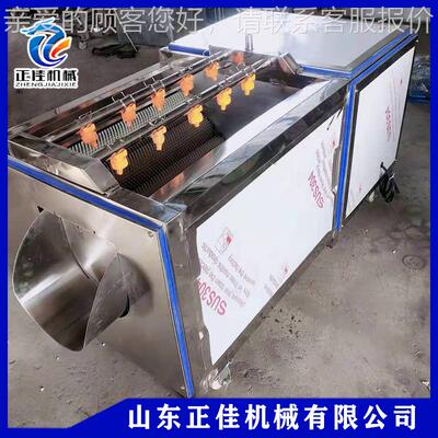 豆去皮毛去辊清洗机 根土茎KGH类薯果蔬清洗机 毛刷番皮清洗机