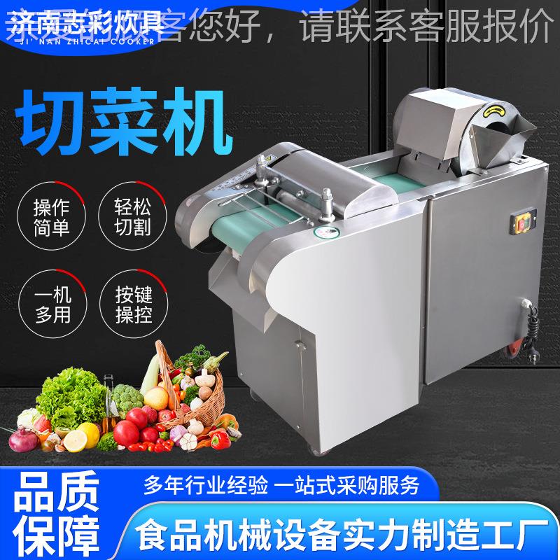 切菜机60100型多功HAZ能切丝切片机药材0切型段机 商用不锈钢切6