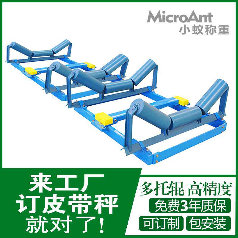 皮带秤高精度皮带秤调速皮带秤小型皮带称定制电子皮带秤厂家直销