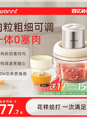 德国GDANNY绞肉机家用2026新款小型多功能电动绞馅和面一体打碎肉