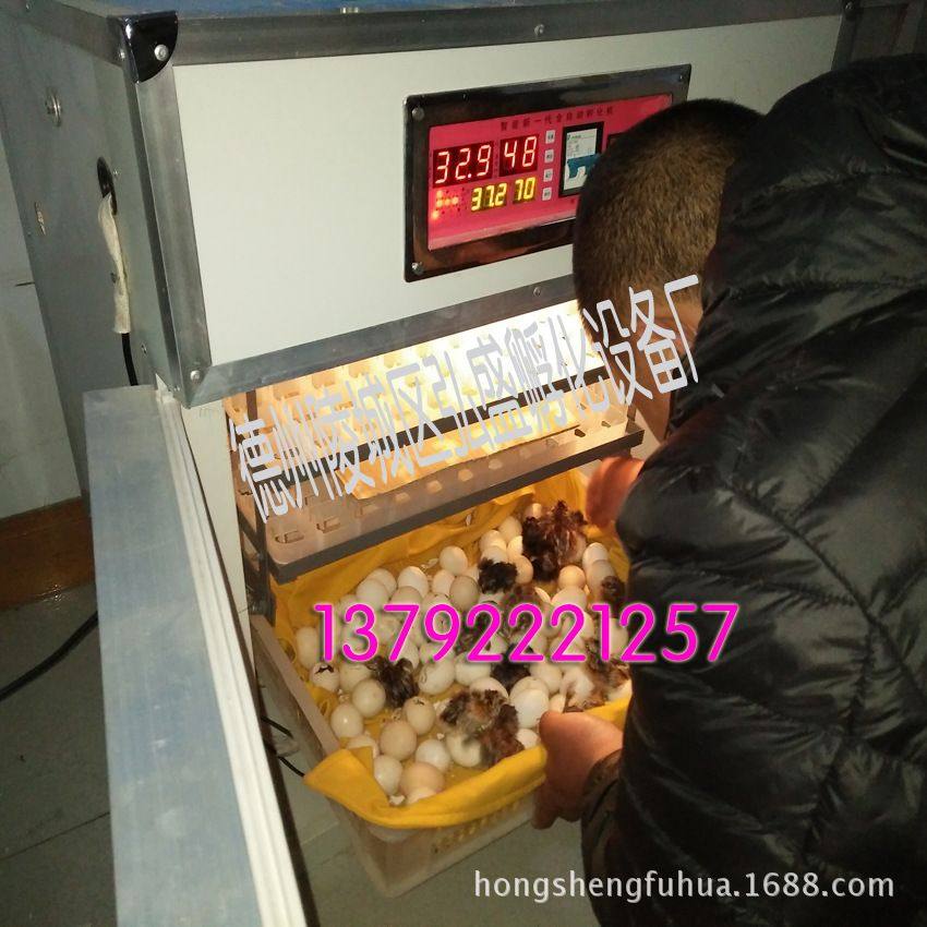 育雏伞/小鸡脱温设备/自动控温伞/自动保温伞 养鸡保温育雏设备,文具电教/文化用品/商务用品,教学标本/模型,淘宝优惠券,粉丝福利购,淘宝优惠卷