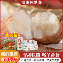 尚欣番薯狼牙山冰糖红薯