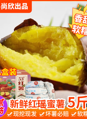 尚欣红薯甜蜜番薯限时购