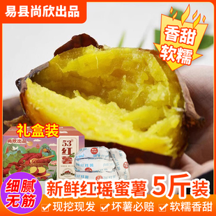 红瑶红薯黄心黄金蜜薯软糯甜蜜红薯新鲜无丝紫皮香甜烤地瓜5斤