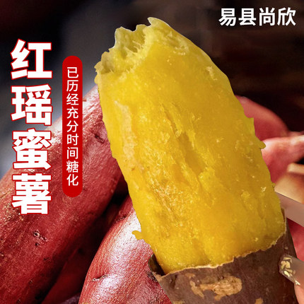 当季新鲜正宗榴莲蜜薯烤地瓜山芋红瑶黄心红薯新鲜农家自种甜