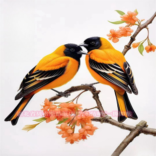 治愈系可爱黄鹂鸟双栖枝头贴纸冰箱门窗装饰贴纸墙面划痕防水自粘