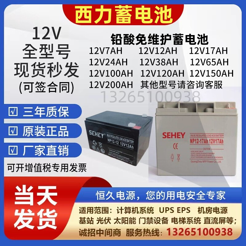 SEHEYSH65NPG100-12V40AH150AH200AH38AH24AH免维护UPS