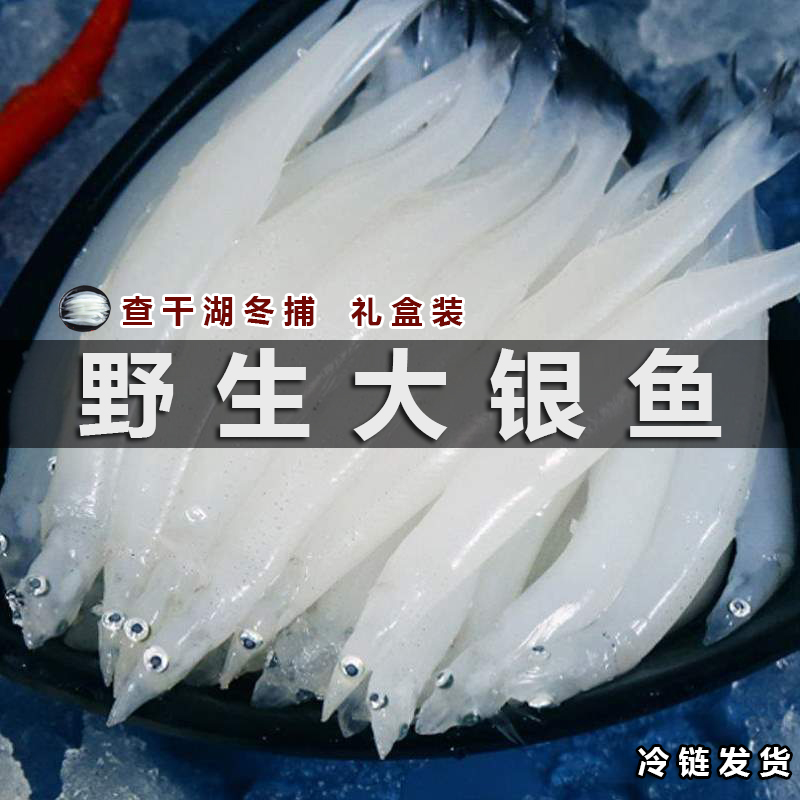 查干冬捕大银鱼新鲜整箱发货