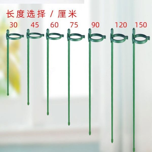 天堂鸟撑支倒伏支架室外神器固定扶门植物爬藤支架绣球子防月季正