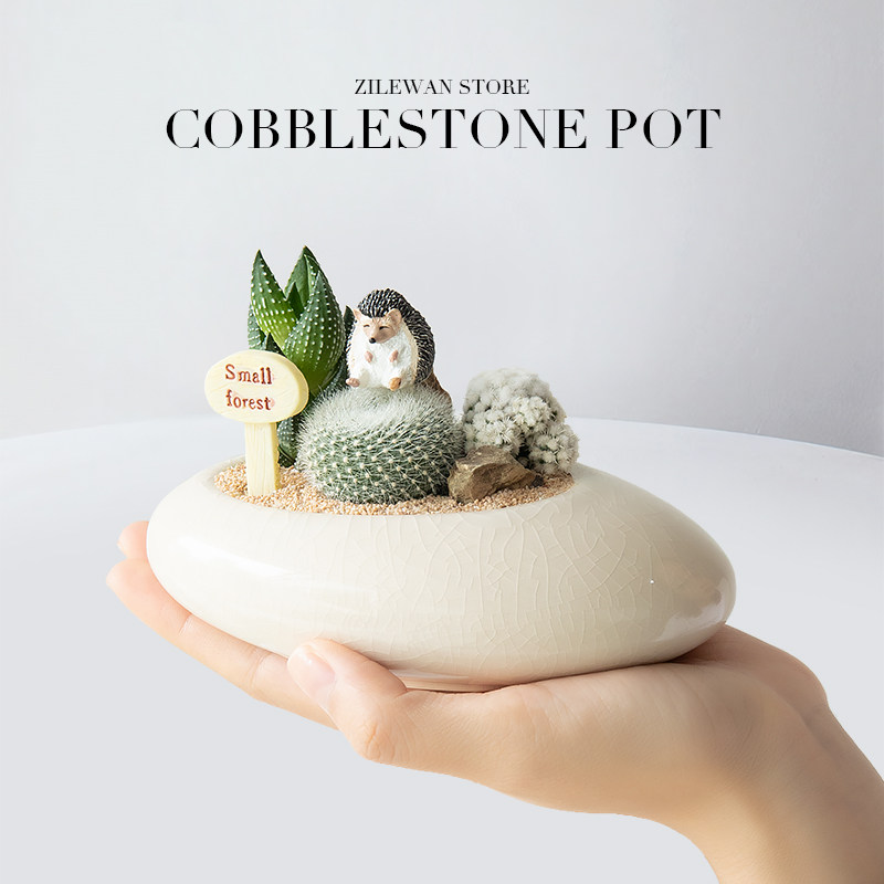 【桌面可爱肉肉】仙人掌植物盆栽花卉办公室内工位送女生生日礼物