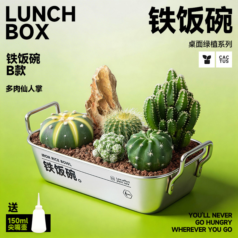 【铁饭碗】仙人掌盆栽植物室内绿植多肉办公桌面创意毕业礼物男生