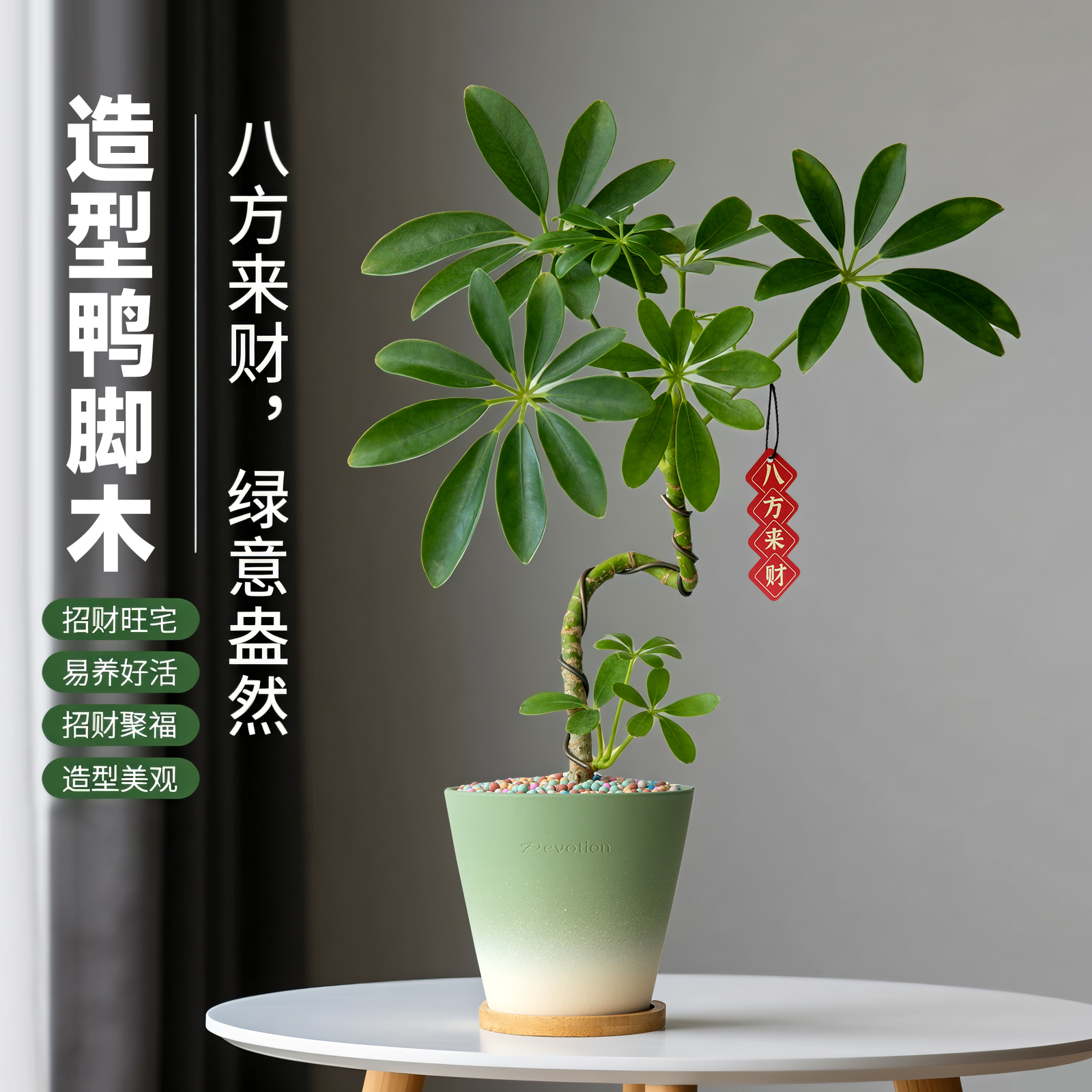 八方来财绿植办公室前台招财摆件