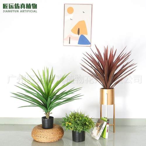 仿真绿植剑麻龙舌兰仿生热带沙漠植物剑兰橱窗装饰盆栽室内布造景