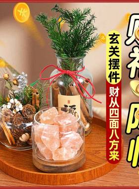 家居玄关入户摆件肉桂生财粗盐净宅大颗粒电视餐边柜客厅装饰