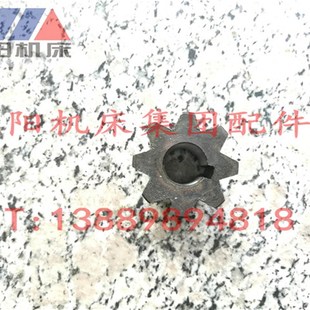 沈阳机床 保障原厂配套 中捷钻床Z3732 8结合子正品