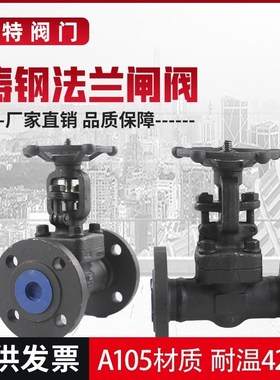 A105锻钢高温高压蒸汽导热油Z41H-25C闸阀DN15 20 25 32 40 50