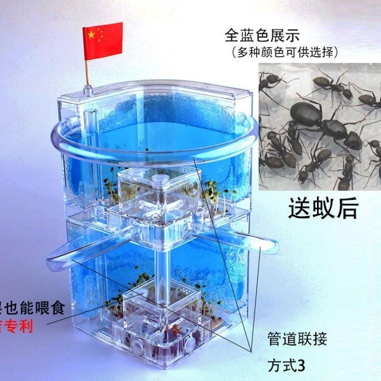 蚂蚁农场的家房子高透明洞穴平面蚂蚁工坊超大生态特大号扩展盒箱