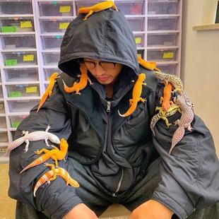 宠物网红小学生懒人随身冷门 豹纹守宫蜥蜴稀罕掌心适合小孩子养